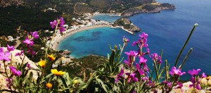 Sivota leto 2015